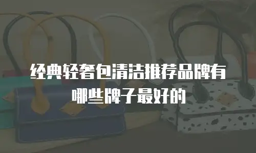 经典轻奢包清洁推荐品牌有哪些牌子最好的