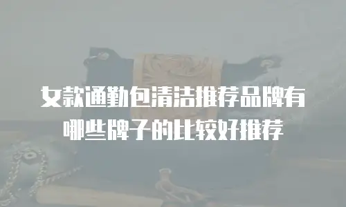 女款通勤包清洁推荐品牌有哪些牌子的比较好推荐