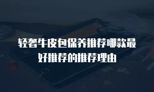 轻奢牛皮包保养推荐哪款最好推荐的推荐理由