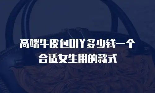 高端牛皮包DIY多少钱一个合适女生用的款式