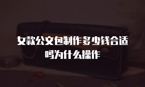 女款公文包制作多少钱合适吗为什么操作