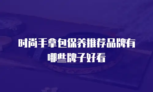 时尚手拿包保养推荐品牌有哪些牌子好看
