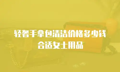 轻奢手拿包清洁价格多少钱合适女士用品