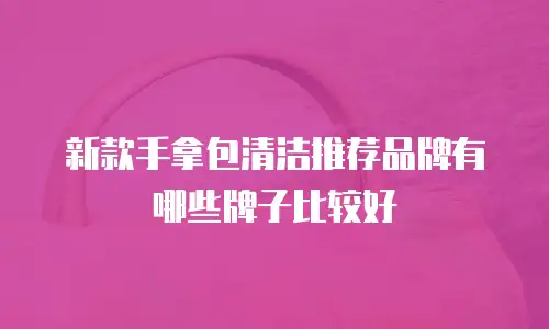 新款手拿包清洁推荐品牌有哪些牌子比较好