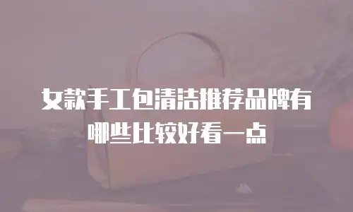 女款手工包清洁推荐品牌有哪些比较好看一点