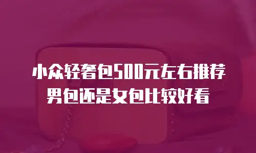 小众轻奢包500元左右推荐男包还是女包比较好看
