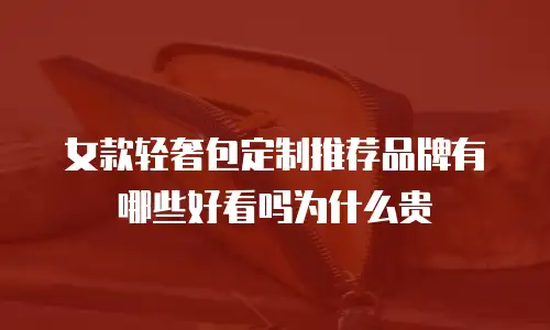 女款轻奢包定制推荐品牌有哪些好看吗为什么贵