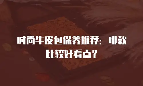 时尚牛皮包保养推荐：哪款比较好看点？