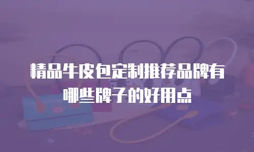 精品牛皮包定制推荐品牌有哪些牌子的好用点