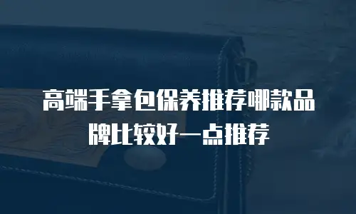 高端手拿包保养推荐哪款品牌比较好一点推荐