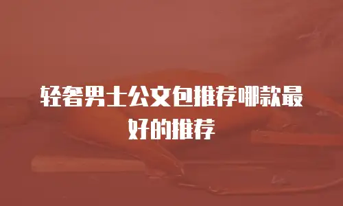 轻奢男士公文包推荐哪款最好的推荐