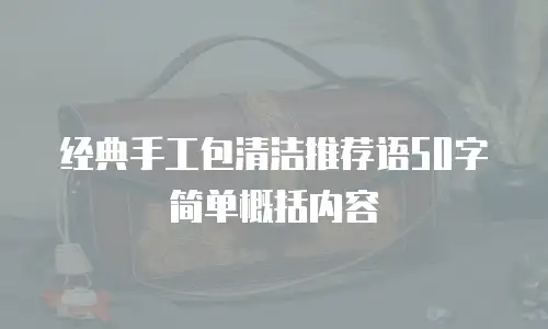 经典手工包清洁推荐语50字简单概括内容