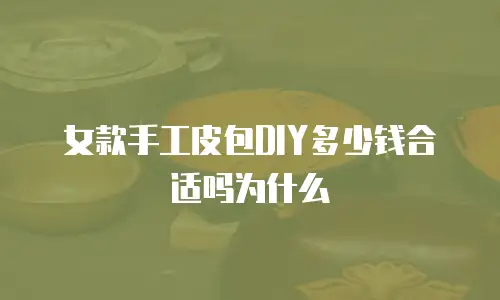 女款手工皮包DIY多少钱合适吗为什么