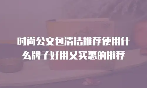 时尚公文包清洁推荐使用什么牌子好用又实惠的推荐