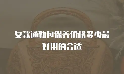 女款通勤包保养价格多少最好用的合适