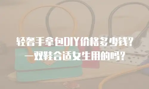 轻奢手拿包DIY价格多少钱？一双鞋合适女生用的吗？