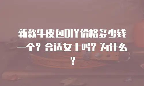 新款牛皮包DIY价格多少钱一个？合适女士吗？为什么？
