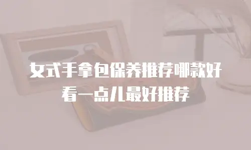 女式手拿包保养推荐哪款好看一点儿最好推荐
