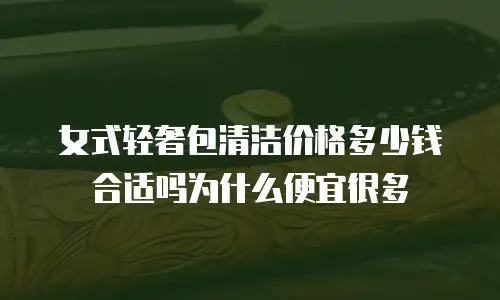 女式轻奢包清洁价格多少钱合适吗为什么便宜很多
