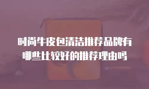 时尚牛皮包清洁推荐品牌有哪些比较好的推荐理由吗