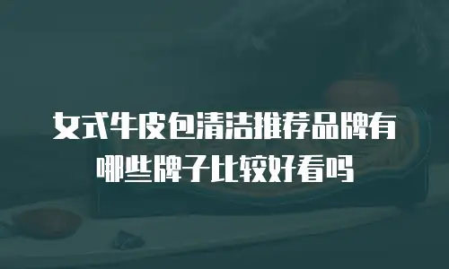女式牛皮包清洁推荐品牌有哪些牌子比较好看吗