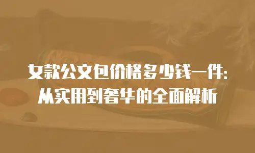 女款公文包价格多少钱一件：从实用到奢华的全面解析
