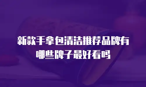 新款手拿包清洁推荐品牌有哪些牌子最好看吗