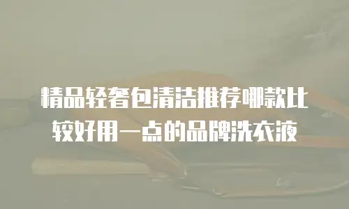 精品轻奢包清洁推荐哪款比较好用一点的品牌洗衣液