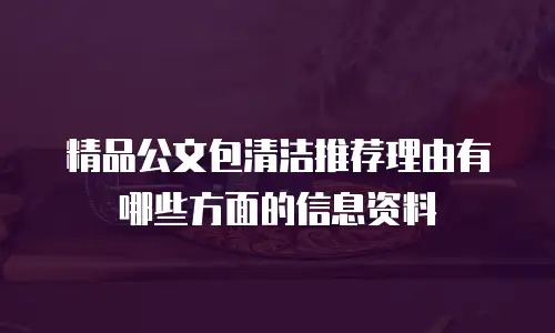 精品公文包清洁推荐理由有哪些方面的信息资料