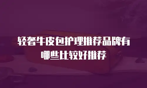 轻奢牛皮包护理推荐品牌有哪些比较好推荐