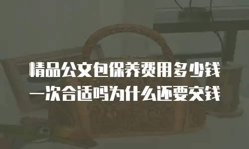 精品公文包保养费用多少钱一次合适吗为什么还要交钱