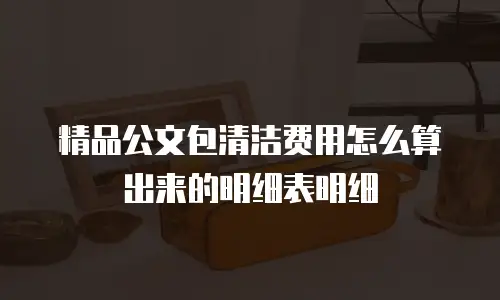 精品公文包清洁费用怎么算出来的明细表明细