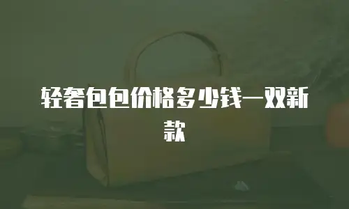 轻奢包包价格多少钱一双新款
