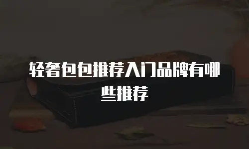 轻奢包包推荐入门品牌有哪些推荐