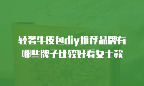 轻奢牛皮包diy推荐品牌有哪些牌子比较好看女士款