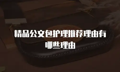 精品公文包护理推荐理由有哪些理由