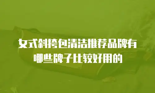 女式斜挎包清洁推荐品牌有哪些牌子比较好用的