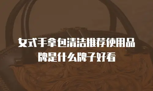 女式手拿包清洁推荐使用品牌是什么牌子好看
