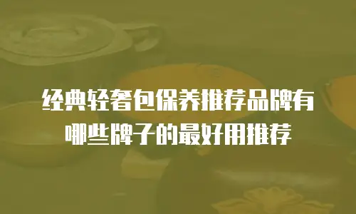 经典轻奢包保养推荐品牌有哪些牌子的最好用推荐