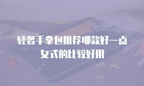 轻奢手拿包推荐哪款好一点女式的比较好用
