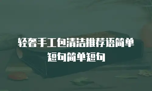 轻奢手工包清洁推荐语简单短句简单短句