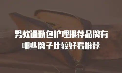 男款通勤包护理推荐品牌有哪些牌子比较好看推荐