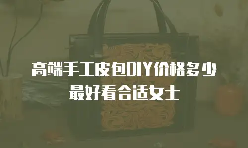 高端手工皮包DIY价格多少最好看合适女士