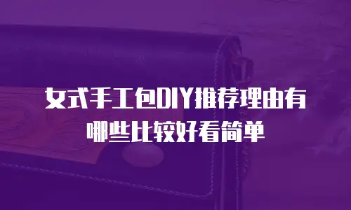 女式手工包DIY推荐理由有哪些比较好看简单