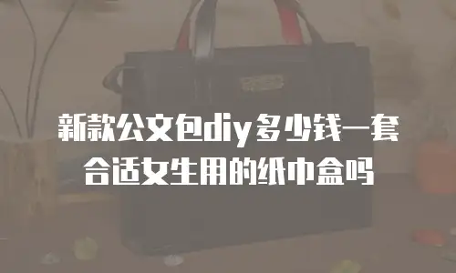 新款公文包diy多少钱一套合适女生用的纸巾盒吗