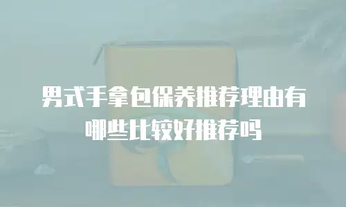 男式手拿包保养推荐理由有哪些比较好推荐吗