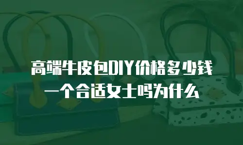 高端牛皮包DIY价格多少钱一个合适女士吗为什么