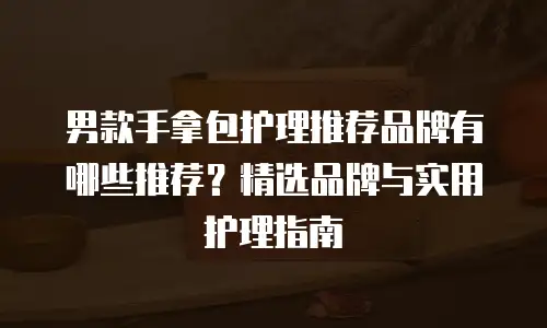 男款手拿包护理推荐品牌有哪些推荐？精选品牌与实用护理指南