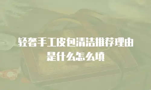 轻奢手工皮包清洁推荐理由是什么怎么填