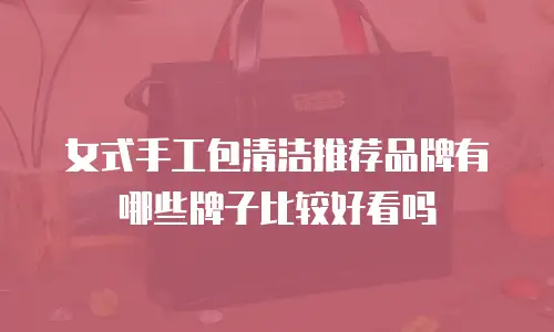 女式手工包清洁推荐品牌有哪些牌子比较好看吗